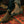 Blundstone 2446 - Classics Clay