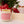Wood Wick Jar Candle 8 oz - Rhubarb & Sweet Cream