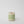 Wood Wick Jar Candle 8 oz - Coconut Beach