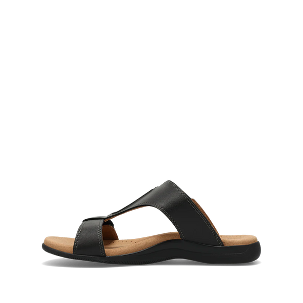 Slide Show - Black