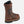 Elk Tracker - A0882
