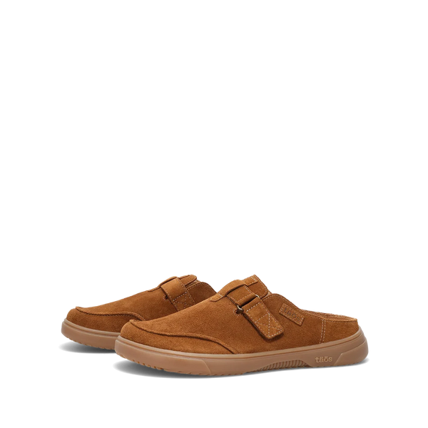 Trivia - Chestnut