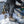 Blundstone 9302 - Work & Safety Thermal Composite RotoFlex