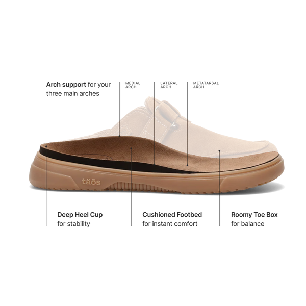 Trivia - Chestnut