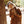 Apollo Bay Gloves - Chestnut