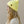 Classic Beanie - Lemon