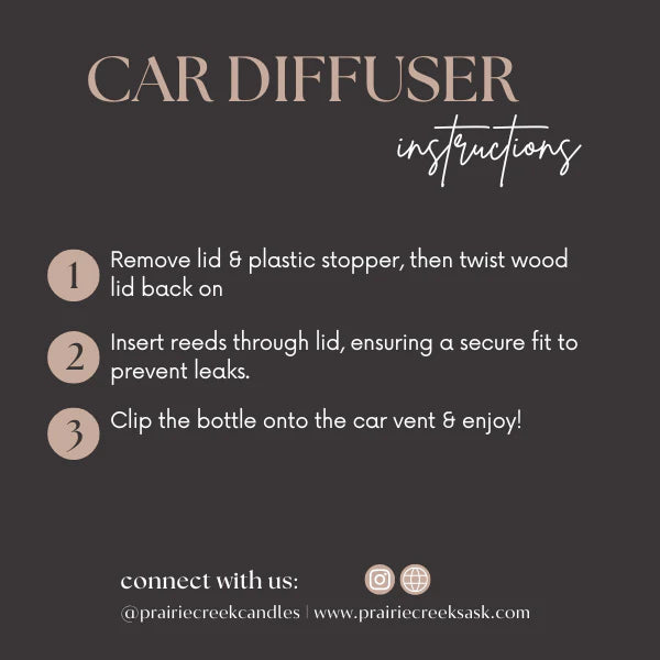 Car Diffuser - Holly Jolly Berry