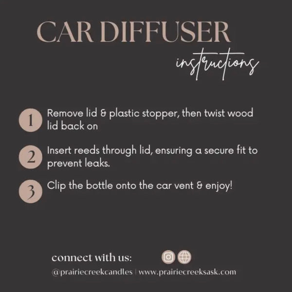 Car Diffuser - Beach Bum