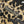 Freestyle Lo - Cheetah/Black/Chalk