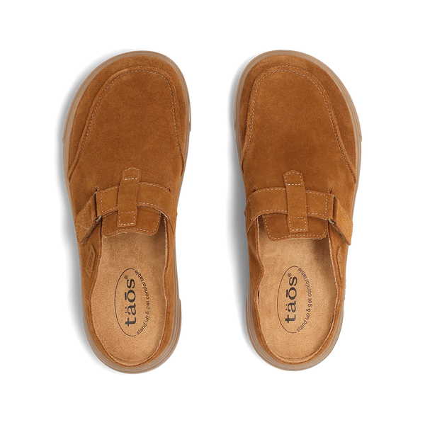 Trivia - Chestnut