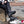 Ice Simone - Black