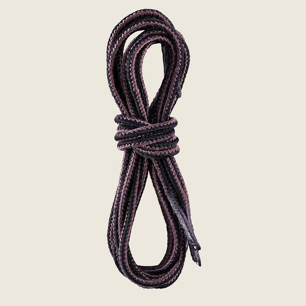 Irish hotsell setter laces